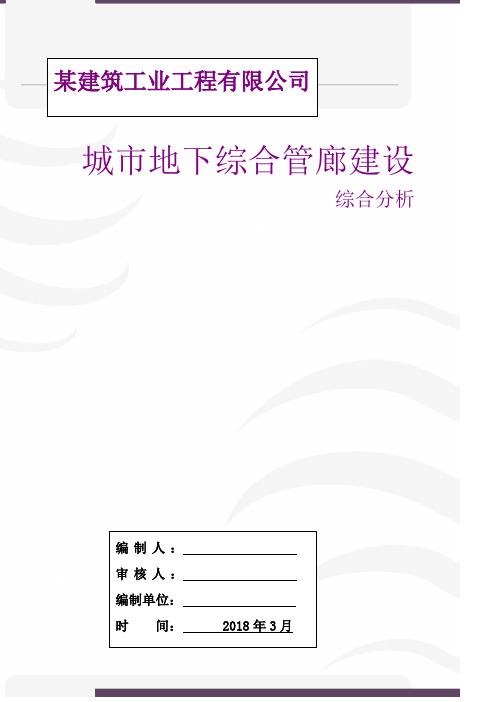 2018城市地下综合管廊建设综合分析(定稿)