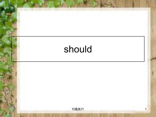 should用法总结.ppt