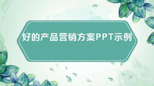 好的产品营销方案PPT示例