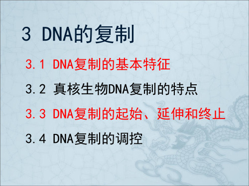 第三章 DNA的复制