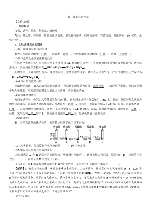 2021年中考化学总复习必做教材基础实验10  酸、碱的化学性质