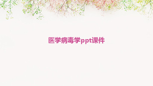 医学病毒学PPT课件