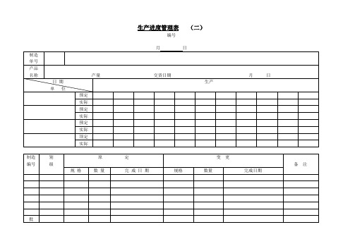 生产进度管理表(二)