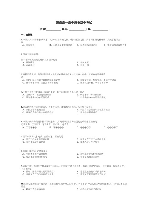 湖南高一高中历史期中考试带答案解析