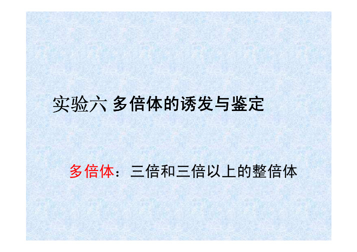 多倍体的诱发与鉴定多倍体的诱发与鉴定多倍体的诱发与...