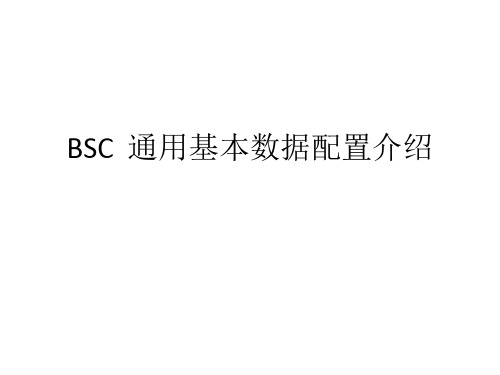 BSC通用基本数据配置介绍