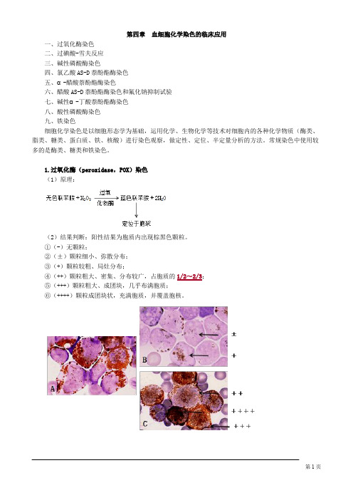 临床血液学检验技师考试血细胞化学染色的临床应用讲义