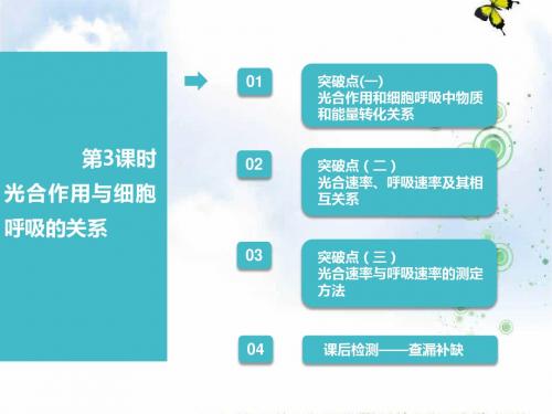 2019届高考全国卷人教版生物一轮复习课件：必修1 第三单元 第3讲 第3课时 光合作用与细胞呼吸的关系