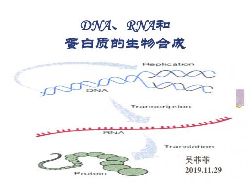 DNA、RNA和蛋白质的生物合成-PPT资料38页