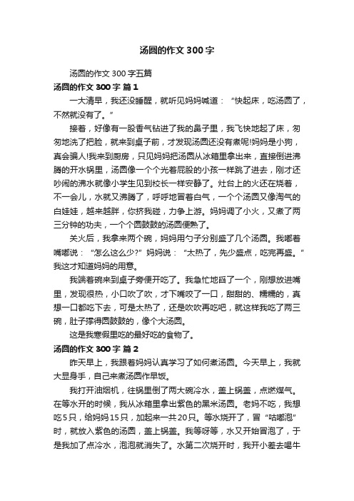 汤圆的作文300字五篇