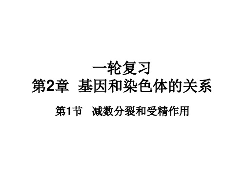 第2章 第1节 减数分裂和受精作用