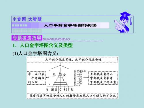 高中地理(中图版)必修2同步课件：第一章 小专题 大智慧 人口年龄金字塔图的判读