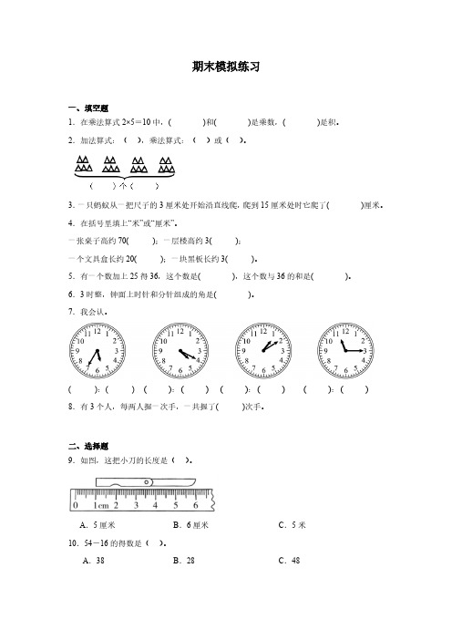 期末模拟练习试题(含答案解析)2024-2025学年二年级上册数学人教版