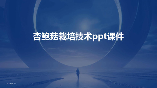 2024年度杏鲍菇栽培技术ppt课件