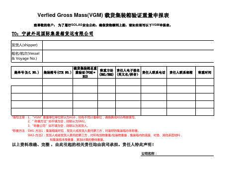 VGM申报表格