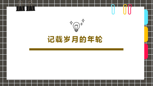 3-6岁《记载岁月的年轮》—美术课件