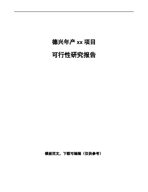 德兴项目可行性研究报告通用模板