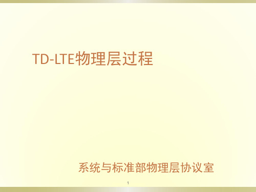 TD-LTE物理层过程ppt课件