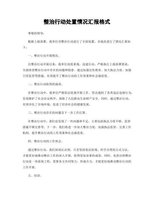 整治行动处置情况汇报格式