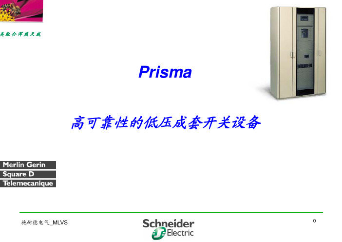 施耐德PRIMSA低压开关柜PPT