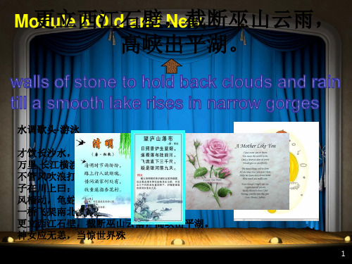 外研版高中英语Book3 Module 6 The Three Gorges Dam reading 公开课教学课件共15页