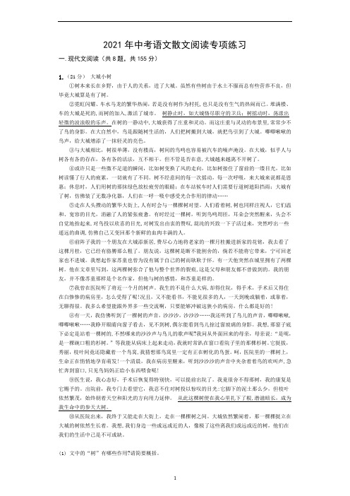 中考语文二轮复习：散文阅读专项练习