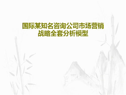 国际某知名咨询公司市场营销战略全套分析模型共65页文档