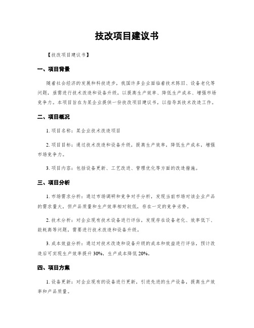 技改项目建议书