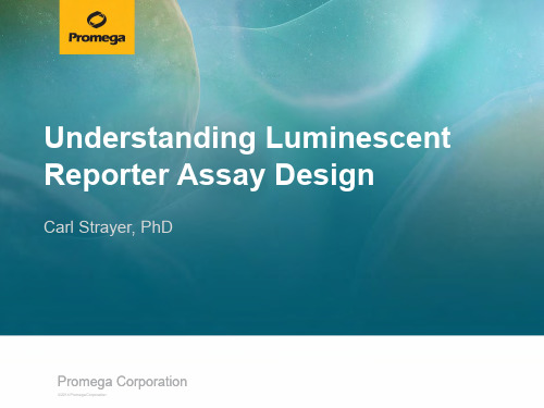 荧光素酶报告系统 luciferase reporter assay design