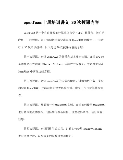 openfoam十周培训讲义 30次授课内容