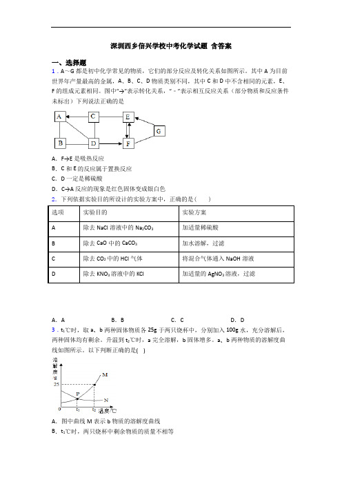 深圳西乡信兴学校中考化学试题 含答案