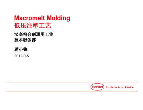 Macromelt低压注塑-Low pressure molding