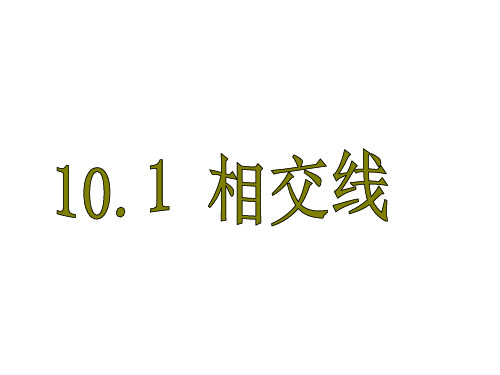 10.1相交线第一课时课件