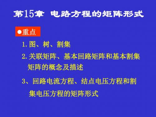 电路方程的矩阵形式(专业)