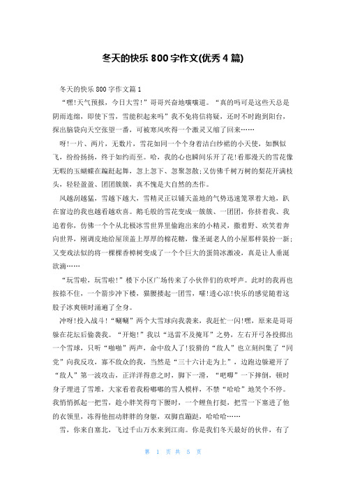冬天的快乐800字作文(优秀4篇)