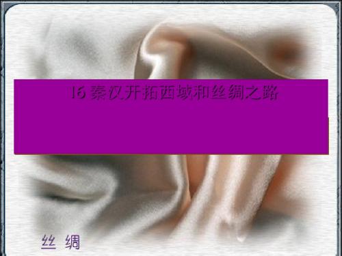 秦汉开拓西域和丝绸之路PPT课件6 北师大版