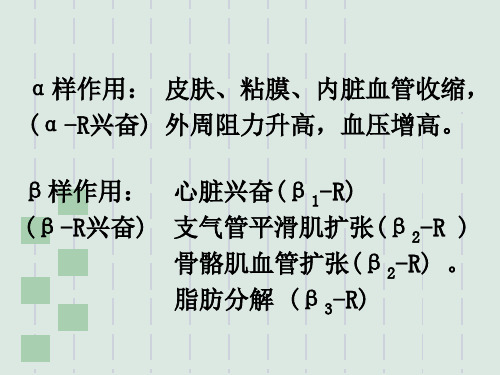 最新最新10拟肾上腺素药-PPT文档-PPT文档