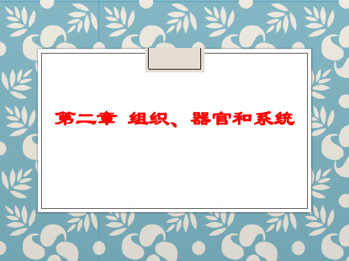 魏道智《普通生物学》第二章 组织、器官和系统(1)