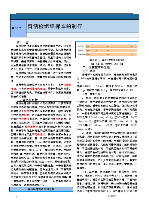 肾活检组织标本的制作