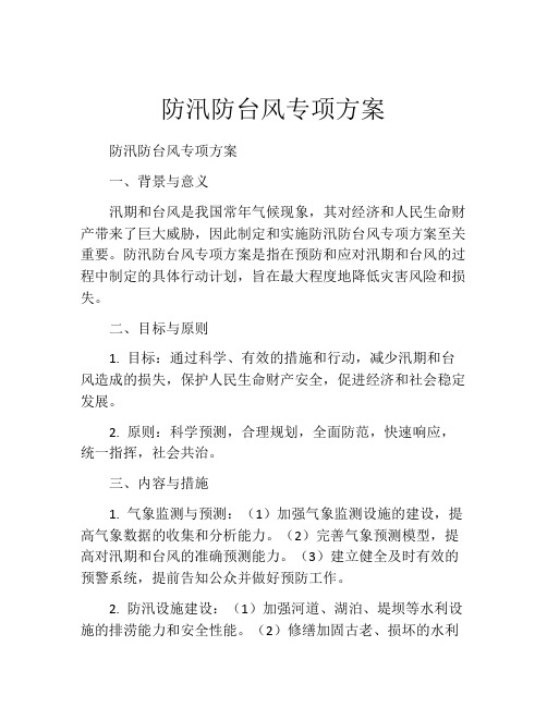 防汛防台风专项方案