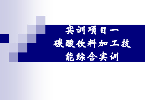 碳酸饮料加工技能综合实训