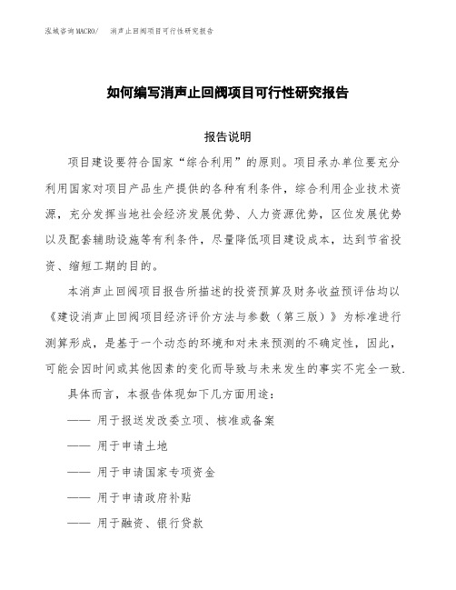 如何编写消声止回阀项目可行性研究报告