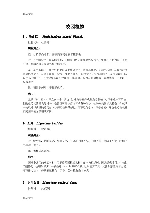 (整理)校园植物2