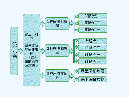 2018-2019学年高中生物浙科版必修三课件：第六章 第三、四节 能量流动和物质循环 生态系统的稳态及其调节