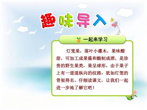 2019年最新-二年级上册语文课件-17 灯笼果 (第1课时) _ 苏教版(2016)-精选文档