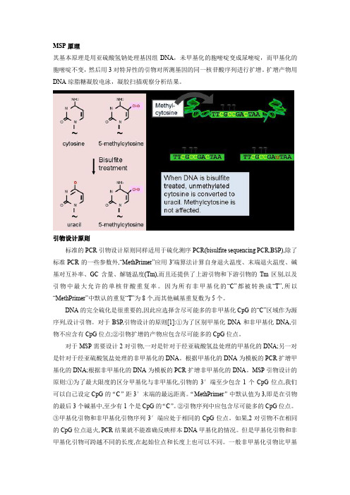 甲基化特异性PCR(MSP)原理与引物设计说明