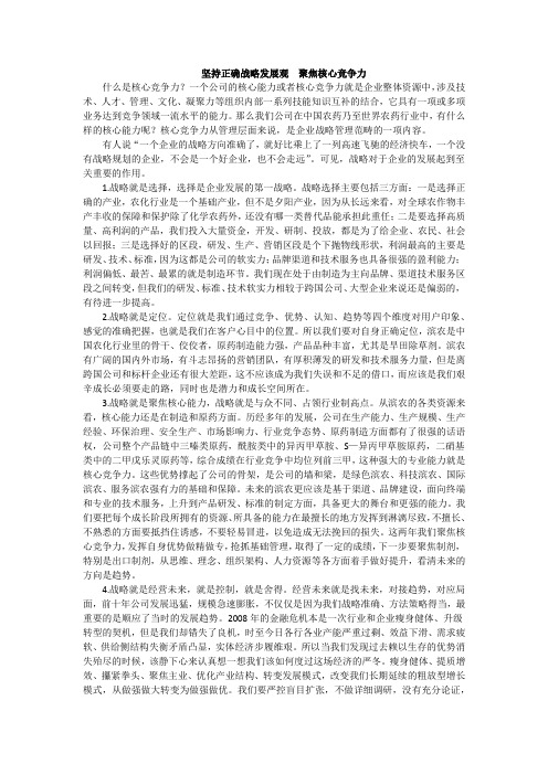 坚持正确战略发展观  聚焦核心竞争力