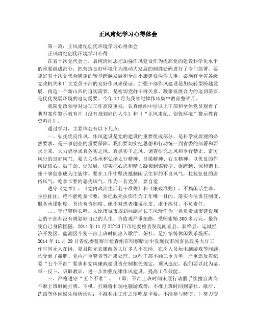 正风肃纪学习心得体会