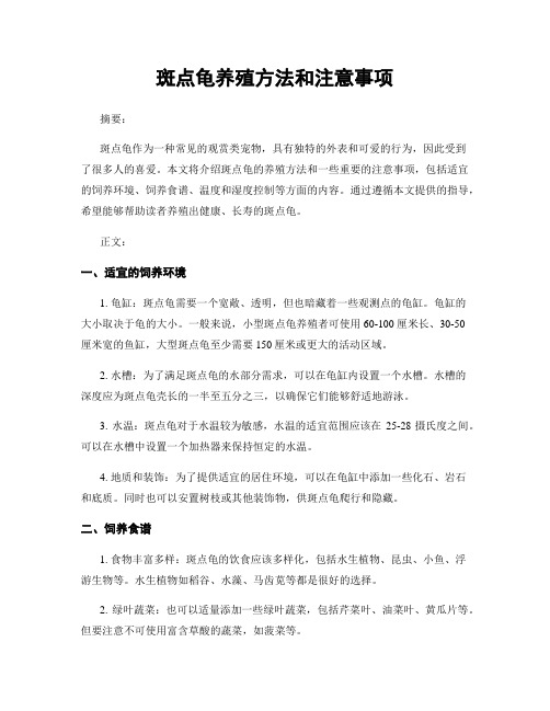 斑点龟养殖方法和注意事项