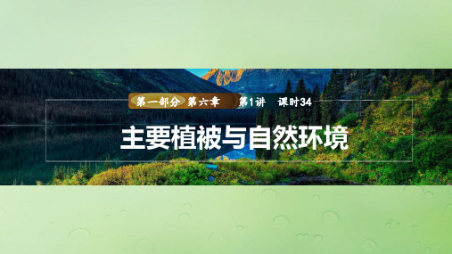 2024届高考地理一轮复习第一部分自然地理第六章第1讲课时34主要植被与自然环境课件湘教版